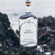 Load image into Gallery viewer, Free Spirits - The Spirit of Gin (Non-Alcoholic) - 750ml
